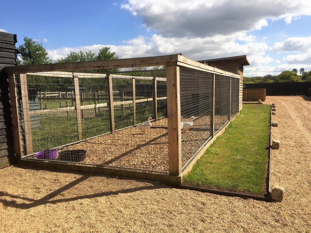 Willow Court Farm Studio East & Petting Farm, 8 Mins To Legoland & Windsor, 15 Mins To Lapland Uk Exterior photo