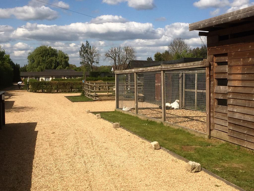 Willow Court Farm Studio East & Petting Farm, 8 Mins To Legoland & Windsor, 15 Mins To Lapland Uk Exterior photo