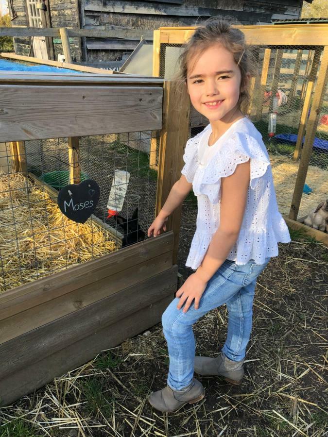 Willow Court Farm Studio East & Petting Farm, 8 Mins To Legoland & Windsor, 15 Mins To Lapland Uk Exterior photo
